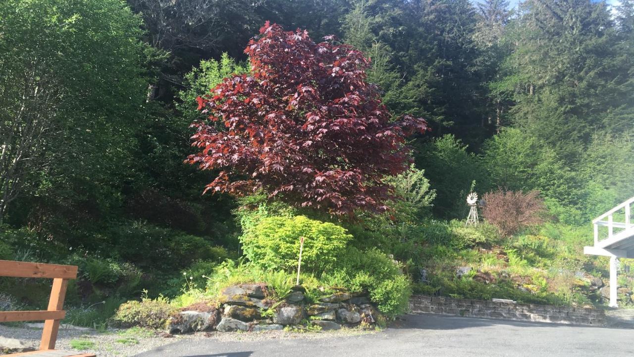 Kelli Creek Cottage - Reduced Price On Tours Juneau Exterior photo