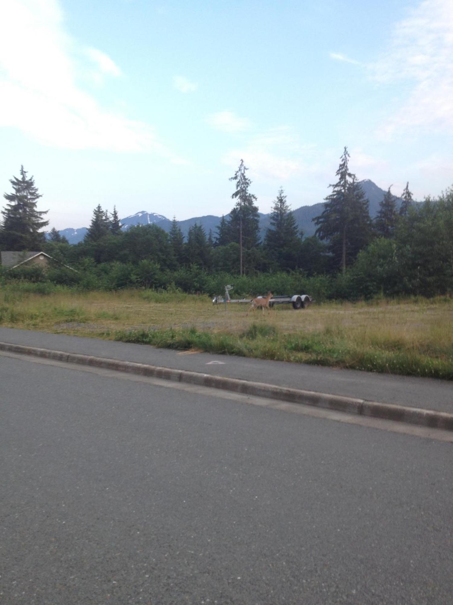 Kelli Creek Cottage - Reduced Price On Tours Juneau Exterior photo